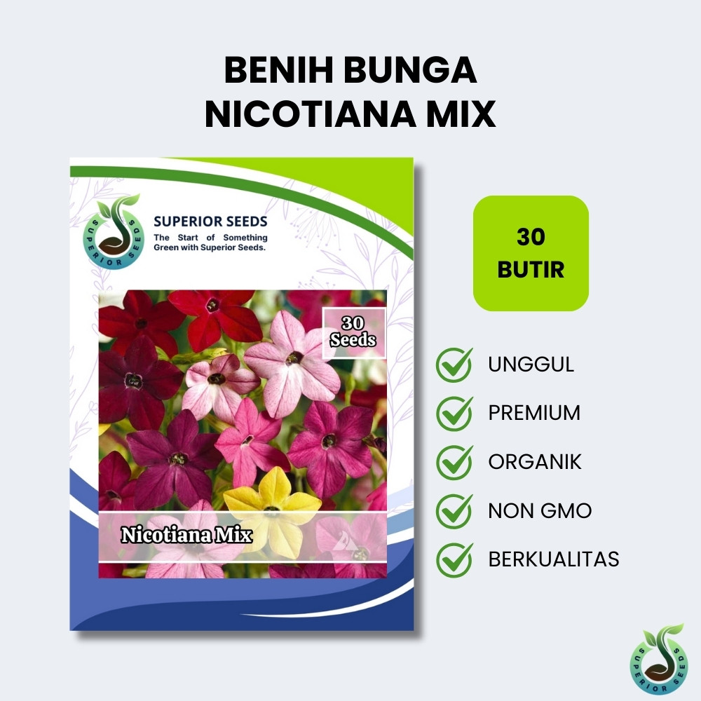 Biji Benih Bunga Nicotiana | Tembakau Berbunga Mix Warna (Superior Seeds)