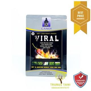 Maknyuss1 Benih Cabe Rawit Merah Viral 10Gr - Bibit Viral