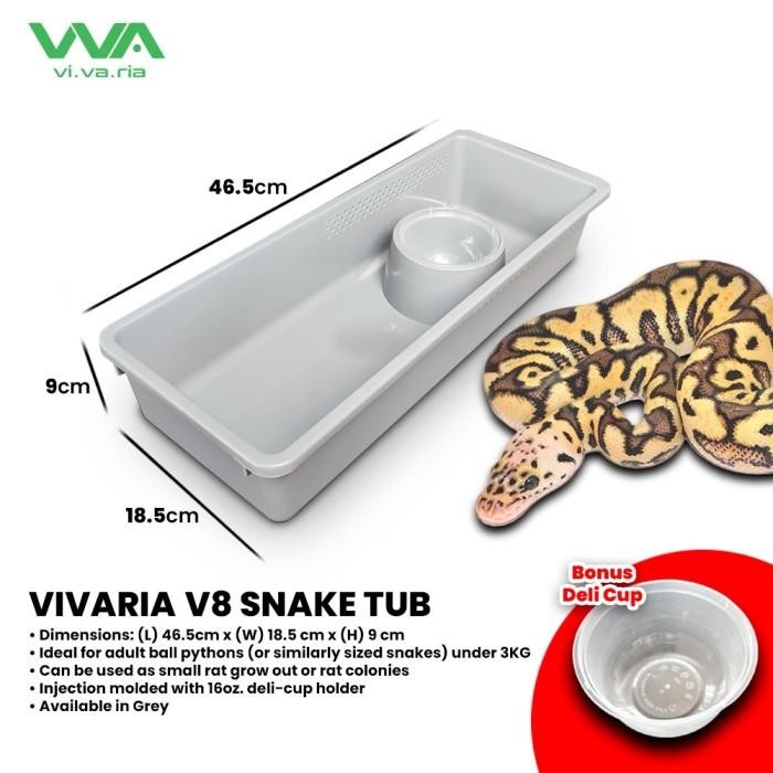 Terlaris Vivaria V8 Snake Tub Kotak Ball Python BP Ular SALE