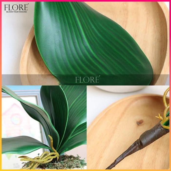 Daun Anggrek Latex [L] /Daun Anggrek Latex Jumbo/Daun Anggrek Artificial (KN-383)