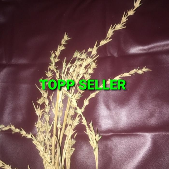 BUNGA BAMBU KUNING (PREMIUM QUALITY)