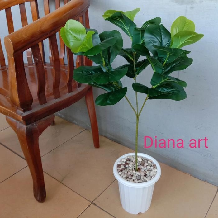 pohon ketapang#pohon ketapang plastik#daun ketapang#ketapang hias#