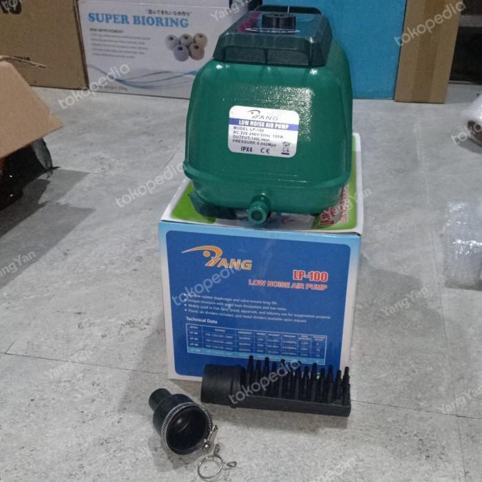 YANG LP100 AIRPUMP/AERATOR 100W