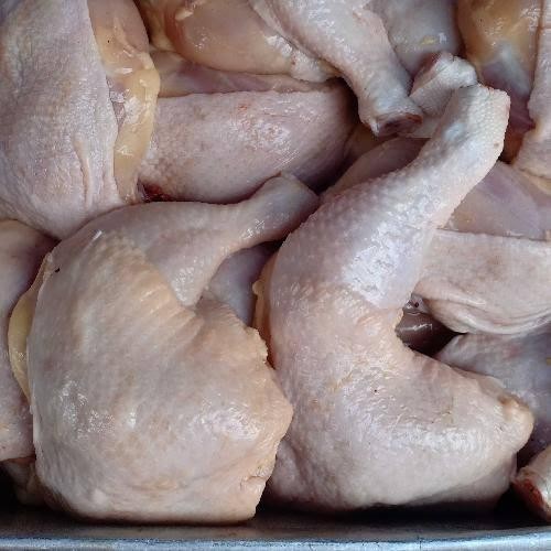 

Pilihan- Paha Atas Fresh Berat 1.000 Gr Isi 4 Pcs Untuk Mempaskan Timbangan Siap Stok