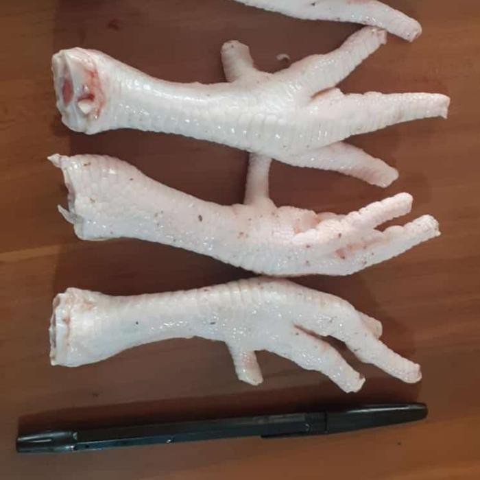 

Pilihan- Ceker Ayam Jumbo Bersih Murah Banget