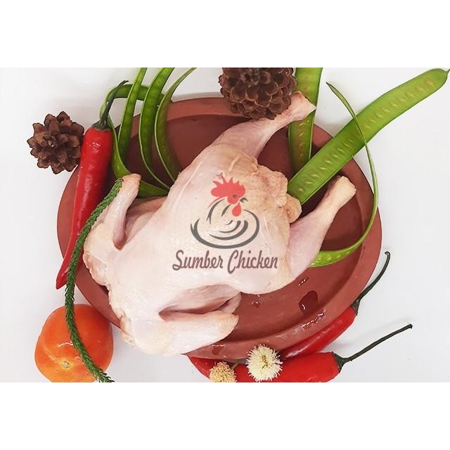 

Pilihan- Ayam Karkas Whole Chicken 900 Gram