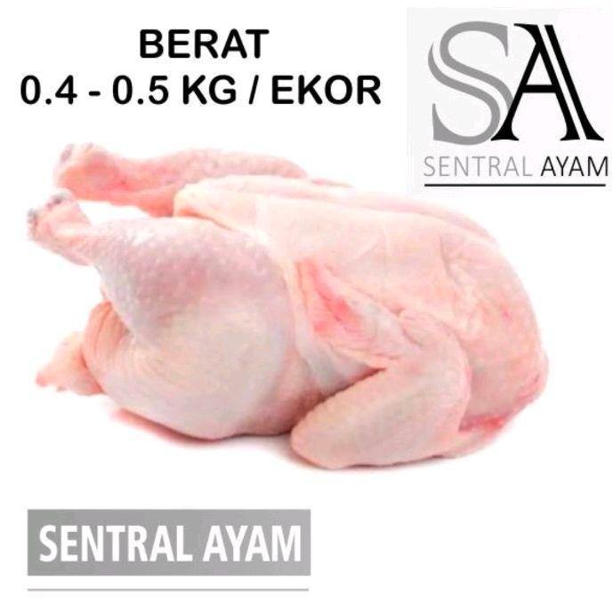 Pilihan- Ayam Karkas Broiler Ayam Potong Utuh Negeri 0.4 Kg 4 Ons Fresh Frozen