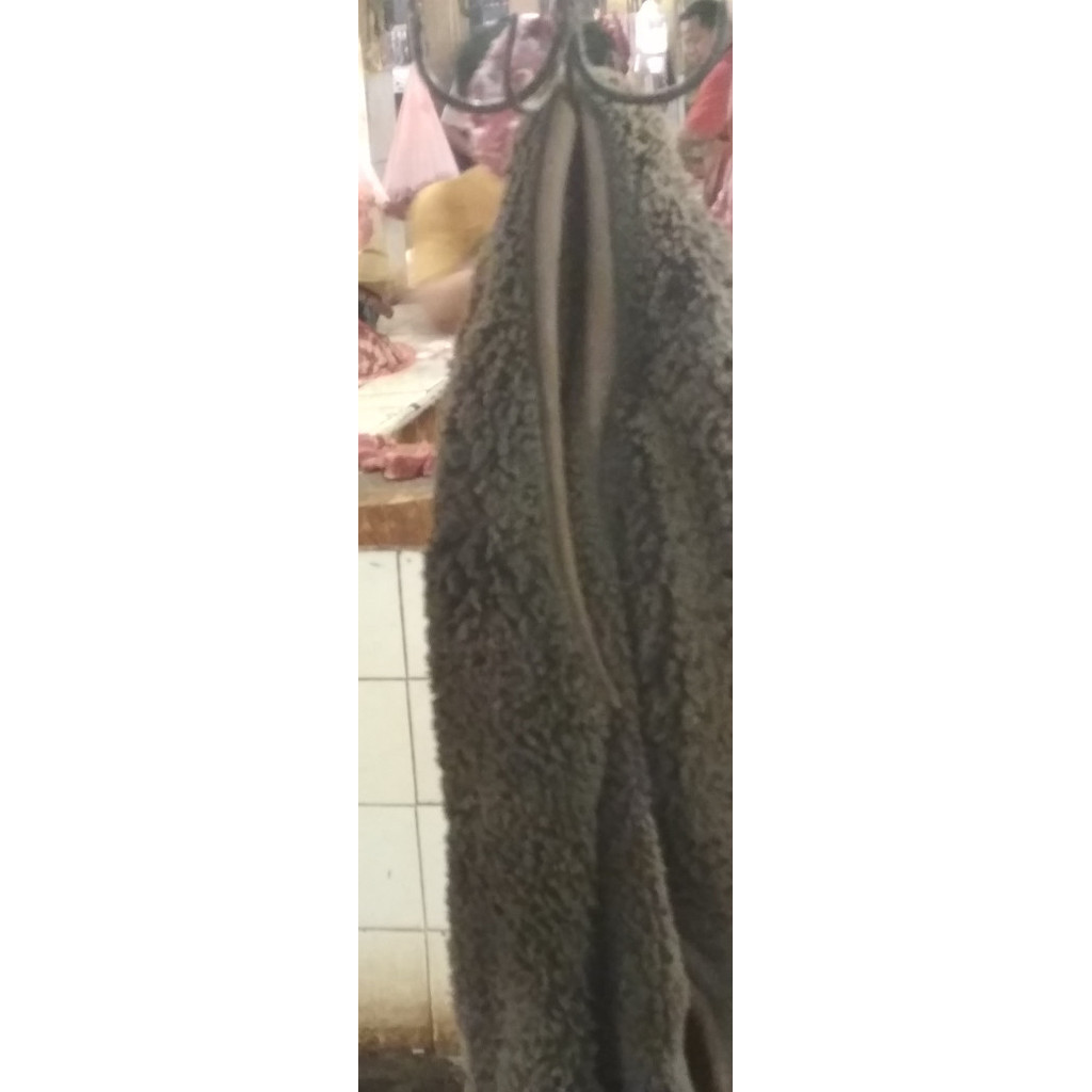 

Pilihan- Babat Sapi Segar