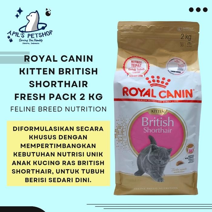 Terbaik Royal Canin Kitten British Shorthair Dry Makanan Induk Dan Anak Kucing Ras British Shorthair