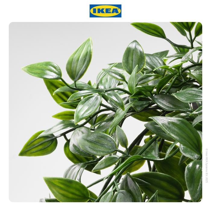 Pilihan- Ikea Fejka Tanaman Hias Gantung Dengan Pot 9 Cm