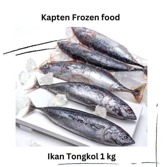 

Pilihan- Ikan Tongkol 1 Kg
