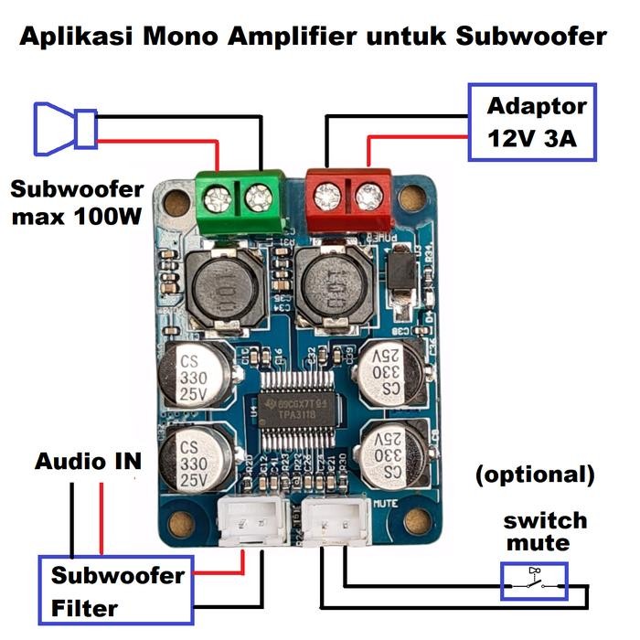 Tpa3118D2 Tpa3118 Class D Hifi Subwoofer Digital Power Mono Amplifier