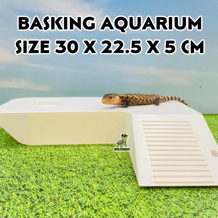 Pilihan- Basking Kura Kura Air Cocok Untuk Terrarium Brazil Aquatic Unifilis