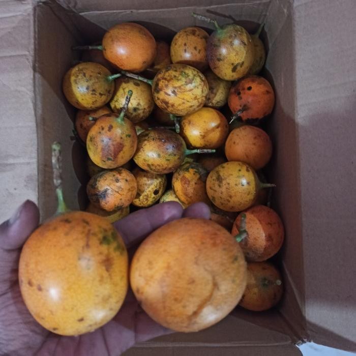 Pilihan- Buah Konyal/ Markisa Madu 100% Manis 1 Kg