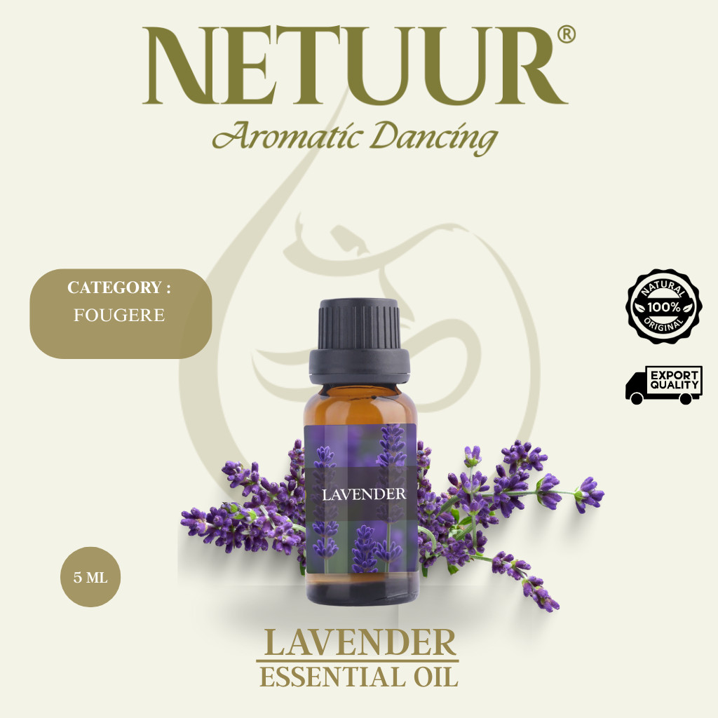 Lavender Oil – Essential Oil | 5 ml | NETUUR OFFICIAL