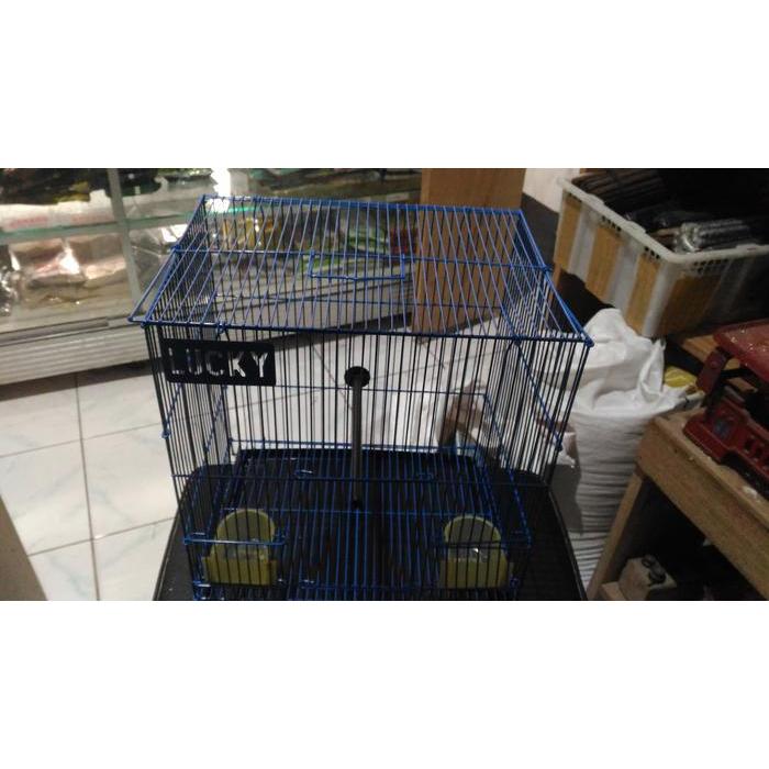 Jayus - Kandang Kotak Kecil Lovebird