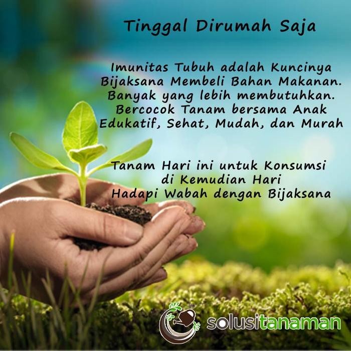 

Promo Power Up @100Gr Pupuk Organik Hidroponik Peningkat Napsu Makan Tanaman Tbk