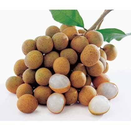 Pilihan- Lengkeng Buah Segar Bandung