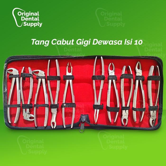 Terlaris Tang cabut dewasa isi 10 alat cabut gigi dental tang cabut gigi SALE