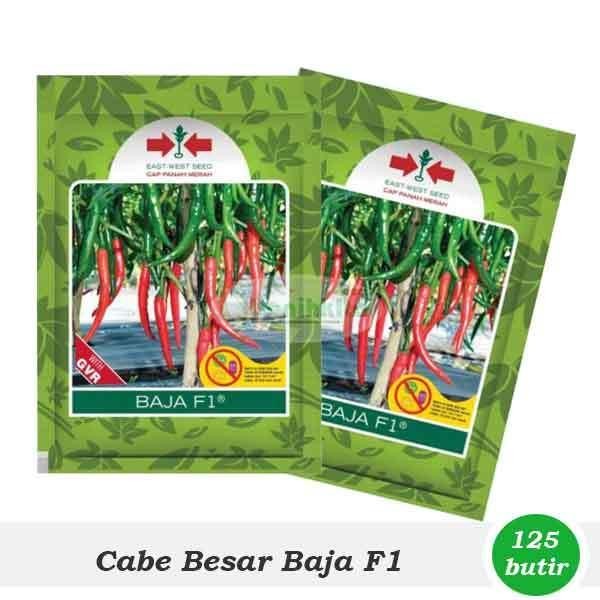 [ Benih Cabe Besar Baja F1 (Cap Panah Merah) ]