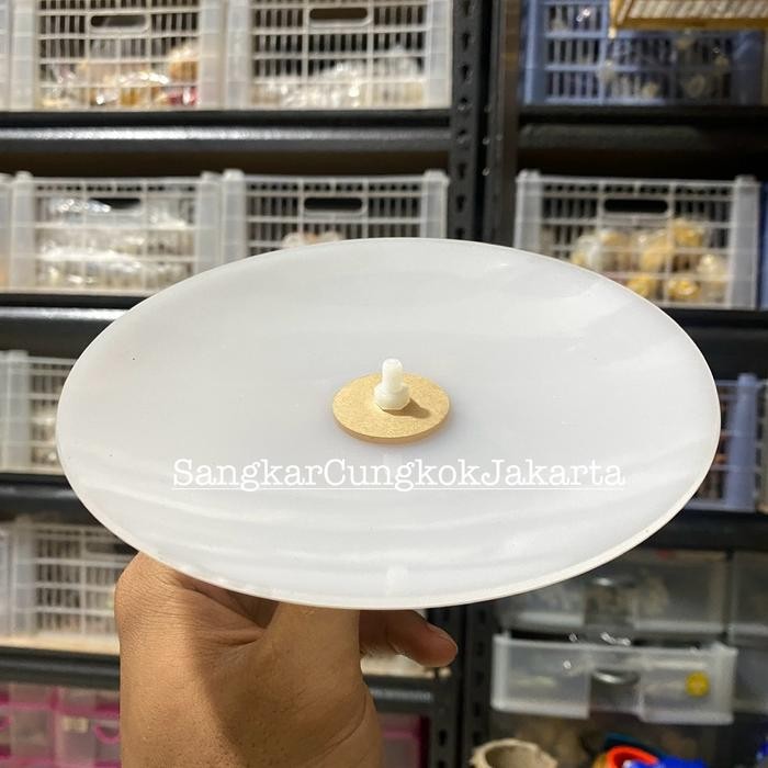 TERMURAH Plafon Sangkar Cungkok Pleci Bahan Akrilik Cembung READY STOCK