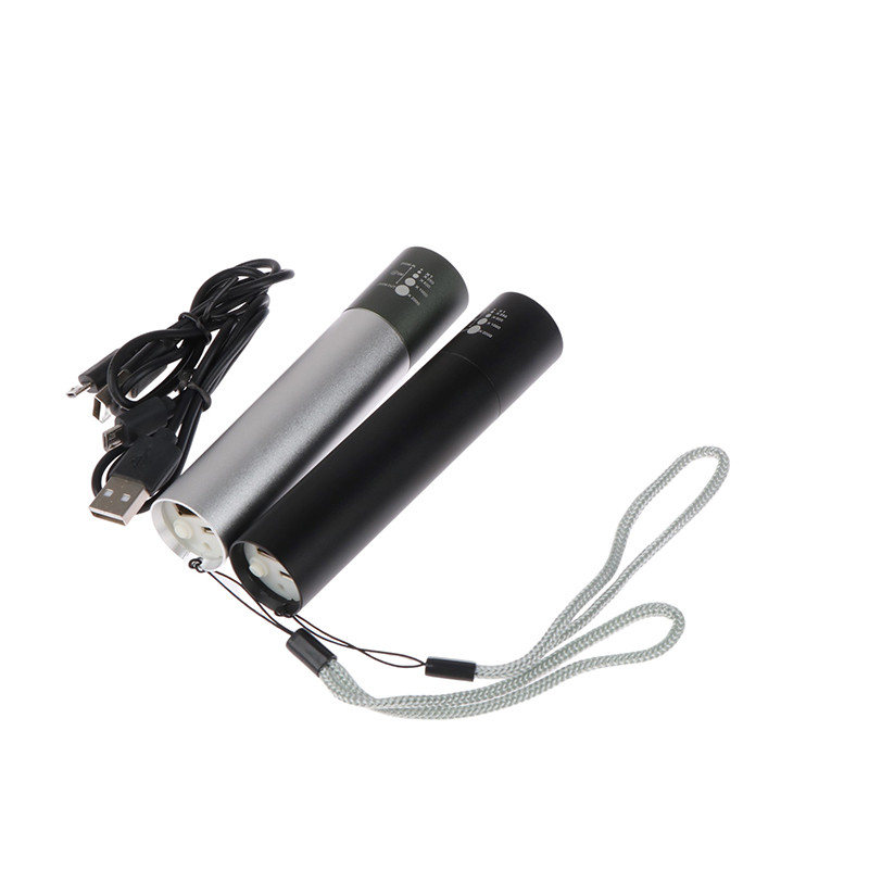 Portable Led Near Infrared Infra 850nm Handheld Medical Lamp 660nm LED Red Light Therapy torch