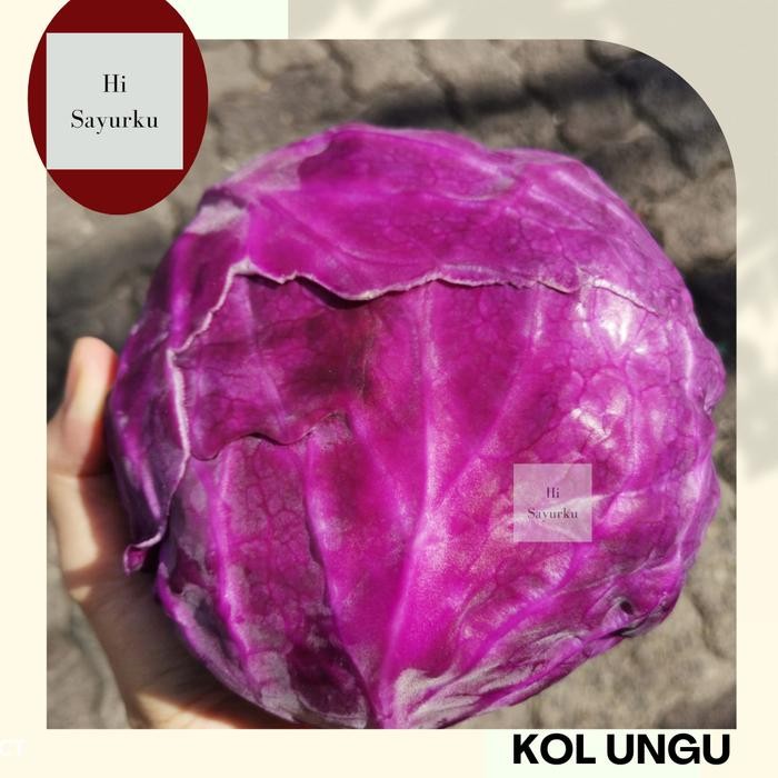 

Pilihan- Kol Ungu Segar - Kol Merah - Kol Import 1 Kg