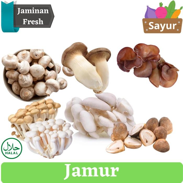 

New Jamur Mushroom Jamur Tiram , Shimeji , Champignon, Jamur Kuping