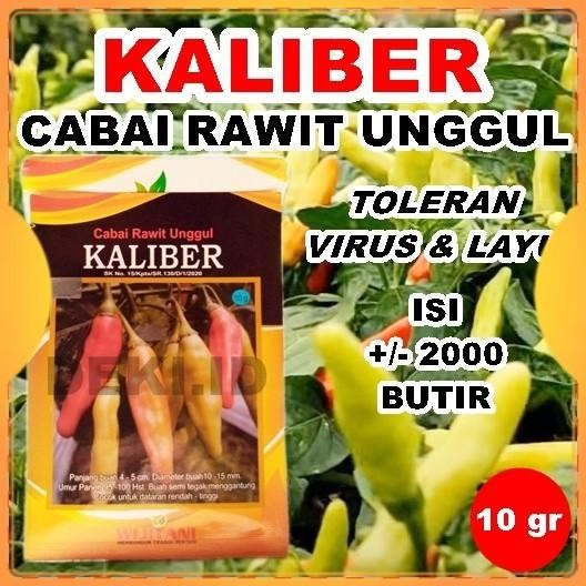 ORIGINAL Benih Cabe Rawit Kaliber Bibit Cabai Unggul 10 Gram Kemasan Pabrik READY STOCK