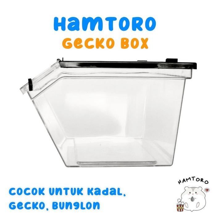 Hamtoro Gecko Box H8 Kandang Besar Untuk Kadal, Kura-kura, Reptil box hamster