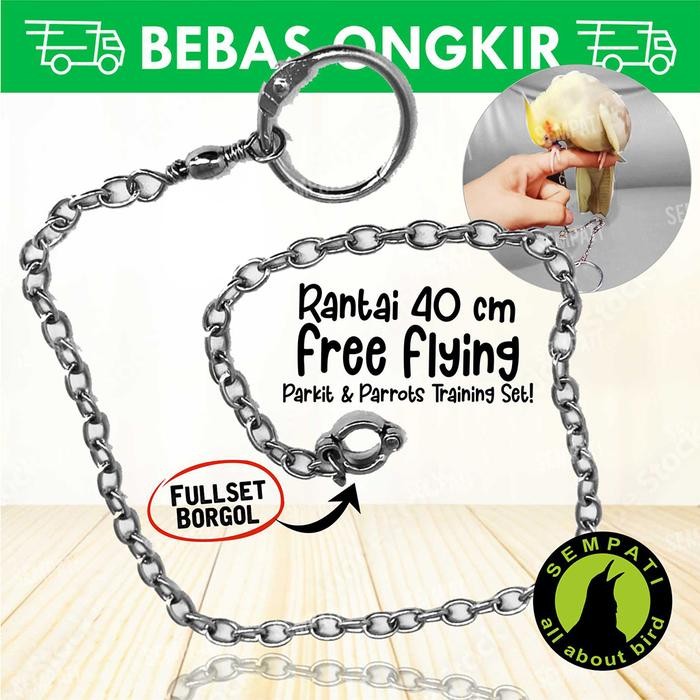 ces0- Rantai Burung Falk Ring Borgol Import 6 Mm Rantai Ff Parkit Cockatiel