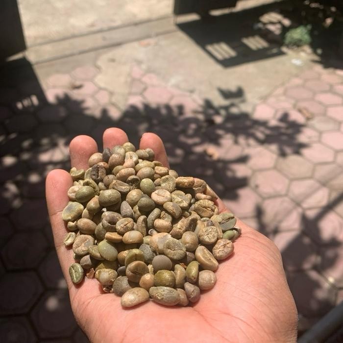 Biji Kopi Robusta, Biji Kopi Mentah, Biji Kopi 1 Kg& 1/2 Kg Biji Kopi Murah Biji Kopi Murni Coffee