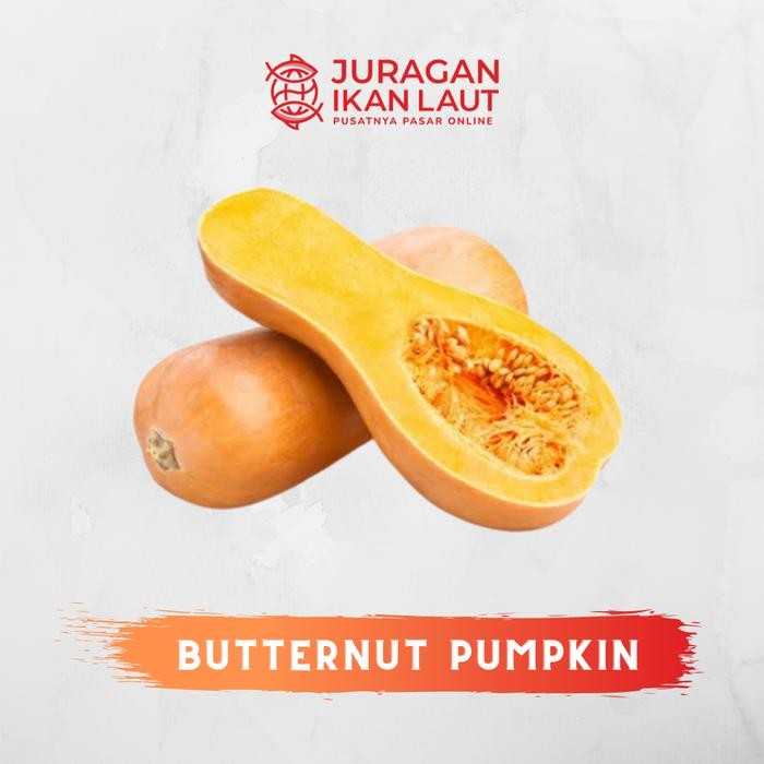 Segar&amanah- Labu Madu Butternut Pumpkin Segar Berkualitas - 1 Buah
