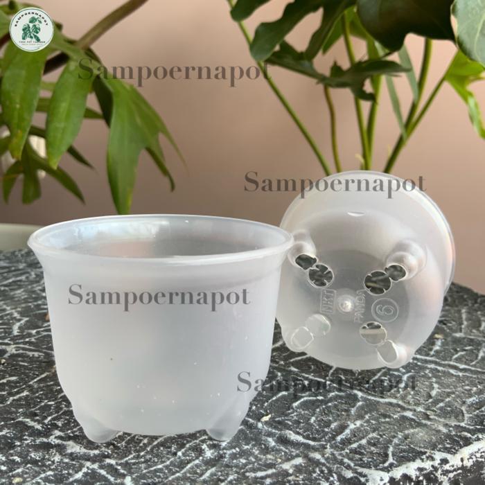 NEW pot bunga tanaman mini nkt panda 06 bening transparan 6cm - nkt mini