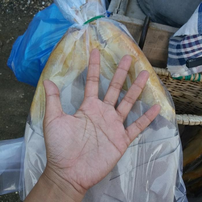 

Ikan Asin Jambal Roti ( Biasa )Asli Pangandaran