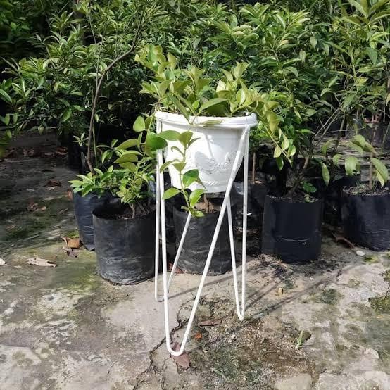 kaki pot besi ukuran pot 35 cm