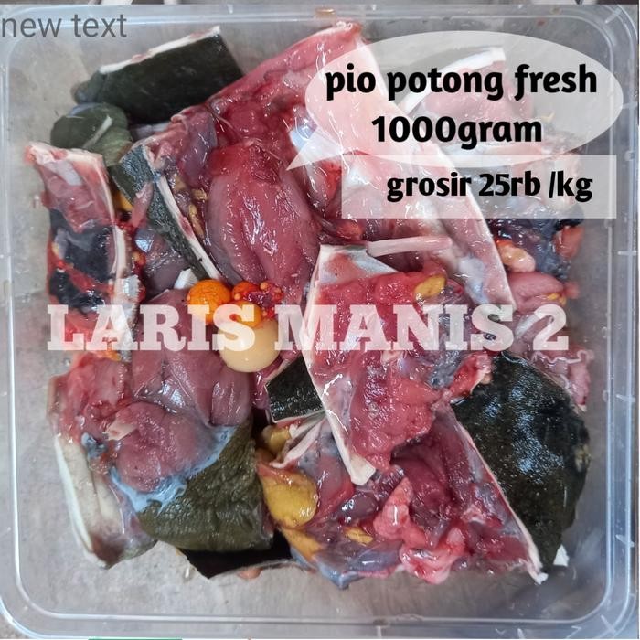 Pilihan- Daging Pio Bulus Labi Labi 1000Gram