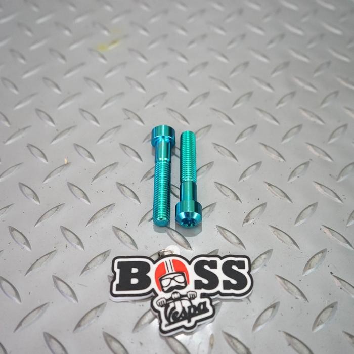 Baut Probolt Titanium Riezto Kaliper Brembo Radial Monoblock