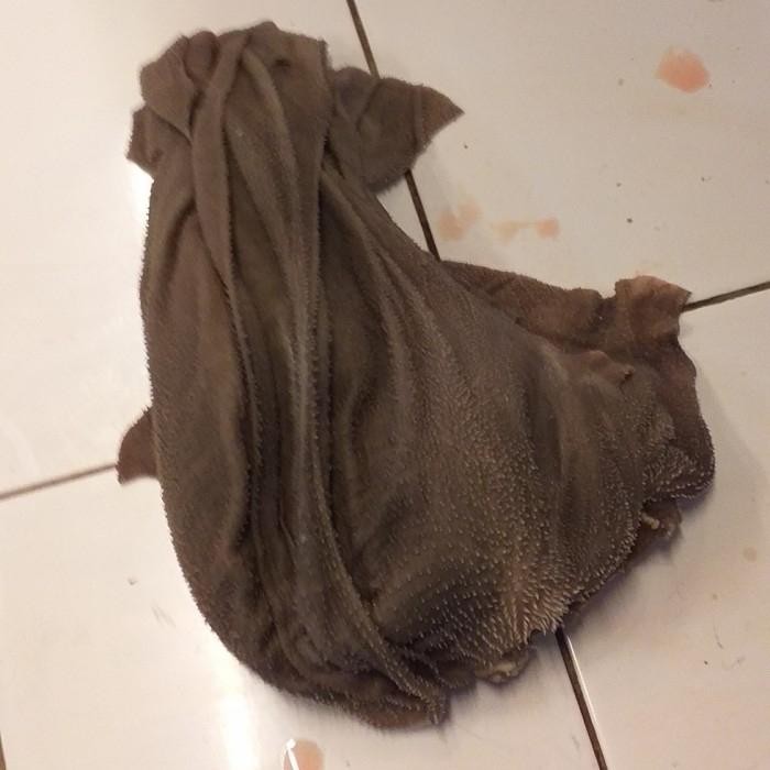 JAJANAJA- Babat Jarit / Babat Buku / Babat Lipat Sapi Lokal Jeroan