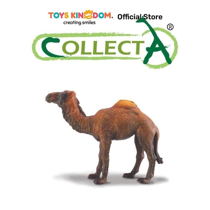 q9v5- Collecta Figure Dromedary Camel 88208