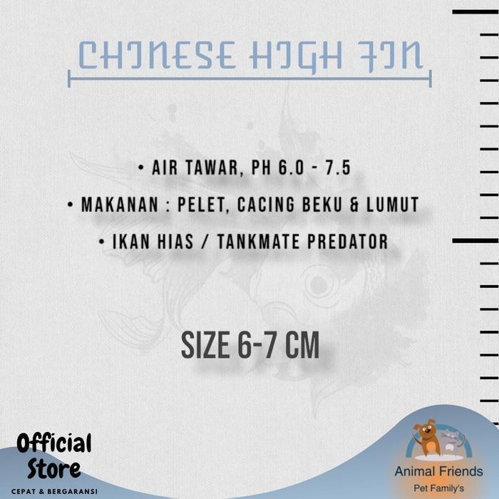 KOMPLIT IKAN HIAS CHINESE HIGH FIN / CHF