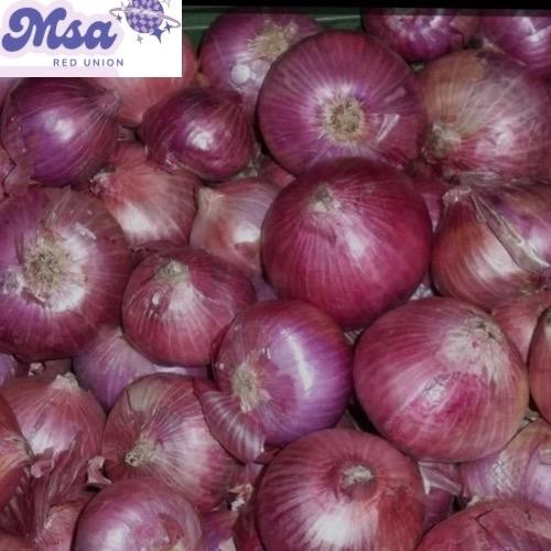 

Pilihan- Bawang Merah Kering 2Kg Umkm Food Pedas Goreng Masakan Bahan