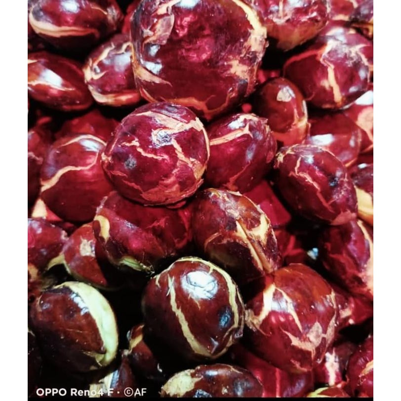 

New 500 gram -1 kg jengkol tua super sudah full sortir