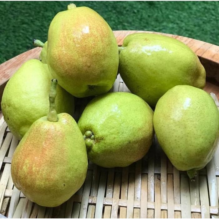Pilihan- Buah Pear Xianglie Pir Sianglie Fragrant Pear