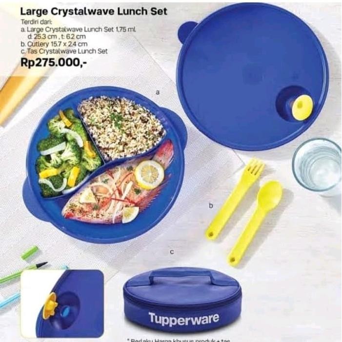 TUPPERWARE Large crystalwave lunch set