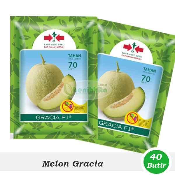 BIBIT F1 BENIH-BIBIT MELON GRACIA F1 (CAP PANAH MERAH)