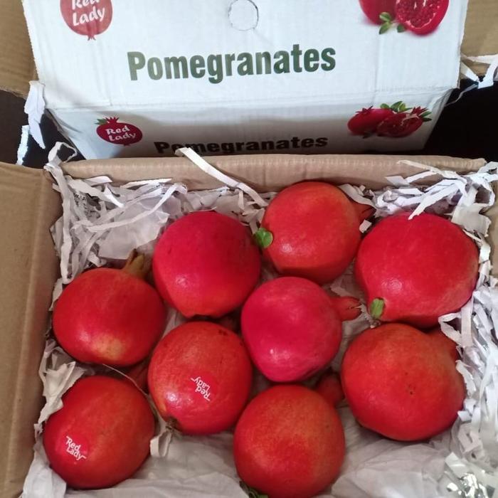 buah delima merah Mesir EGYPT Harga pergardus buah-buahan segar