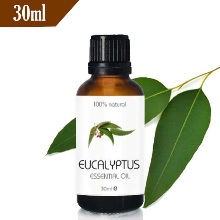 Eucalyptus Oil Eucalyptus Essential Oil 30ml