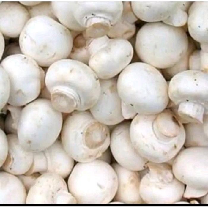 

Pilihan- Jamur Chmpinyon Jamur Kancing Per 250Gr Kak