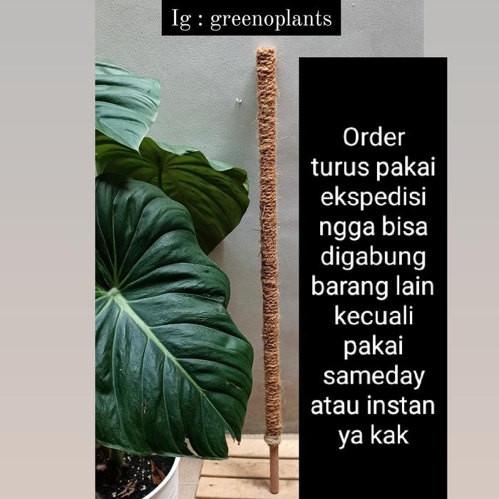 Turus KEKAR Greenoplants